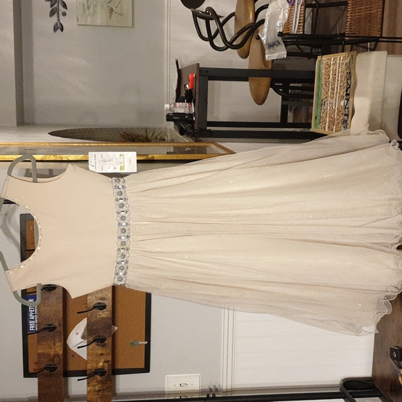 Chantilly Place Big Girls 14 Beaded-Waist Wire-Hem Long Dress wedding  dress - Picture 8 of 16